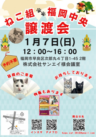 ねこ組🐾福岡中央譲渡会　in次郎丸