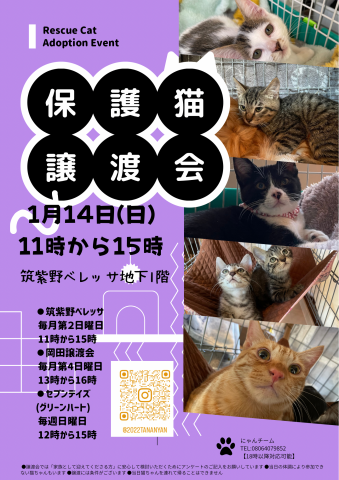 ベレッサほご猫譲渡会