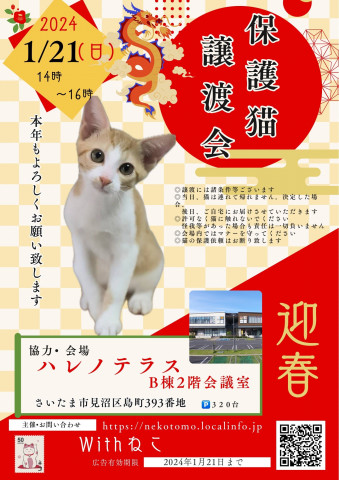 【さいたま市】1/21(日)ハレノテラス保護猫譲渡会