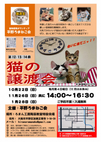 第14回平野ろまねこ譲渡会