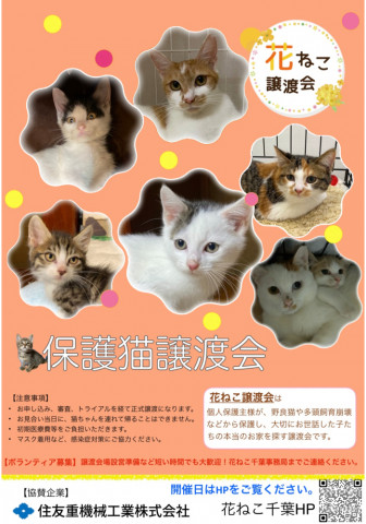 花ねこ譲渡会