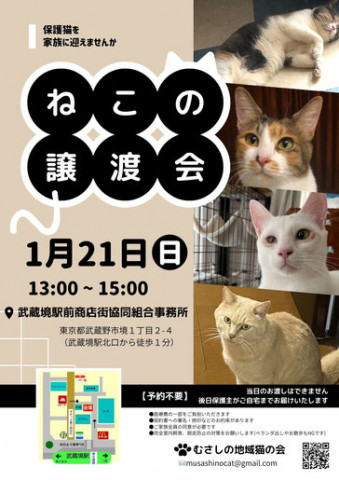 むさしの地域猫の会　譲渡会