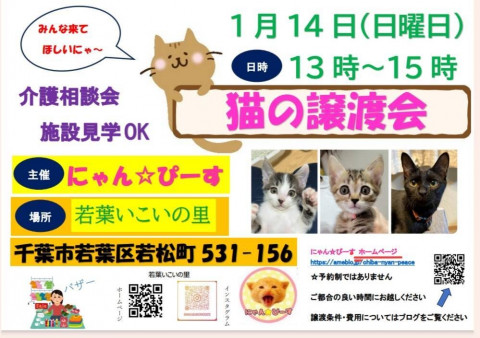 【第243回】にゃん☆ぴーす猫の譲渡会　