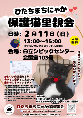 ひたちまちにゃか保護猫里親会