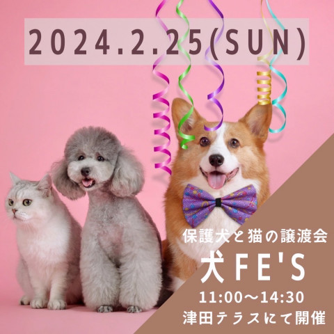 保護犬と猫の譲渡会【犬Ｆés】