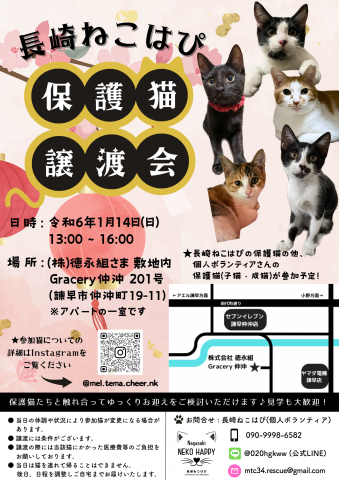 長崎ねこはぴ　保護猫譲渡会