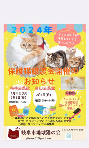 保護猫譲渡会