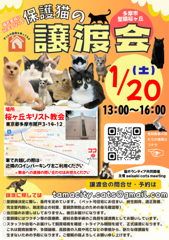 保護猫の譲渡会in多摩市聖蹟桜ヶ丘