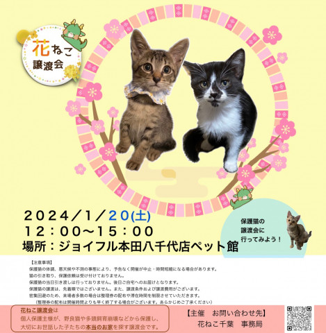 花ねこ譲渡会