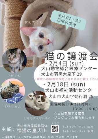 猫の譲渡会 @犬山市動物総合医療センター