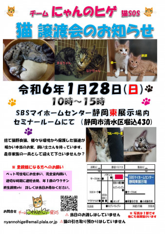 保護ニャンコの譲渡会ｂｙ静岡市清水区