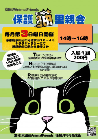 ☆★保護猫の里親会★☆