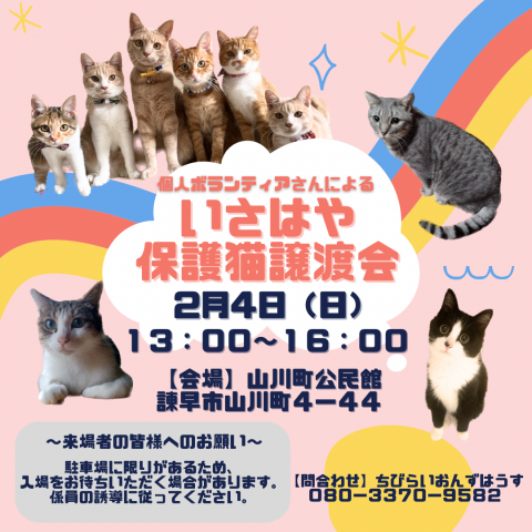 個人ボランティアさんによるいさはや保護猫譲渡会