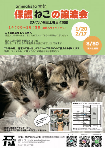 animalista古都　保護ねこの譲渡会