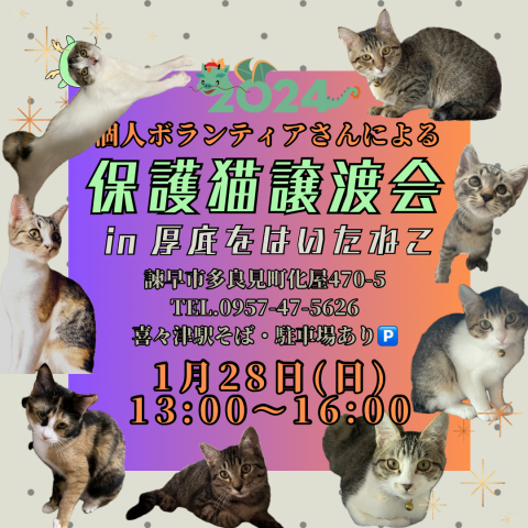 保護猫譲渡会