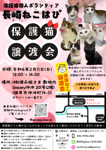 長崎ねこはぴ 保護猫譲渡会