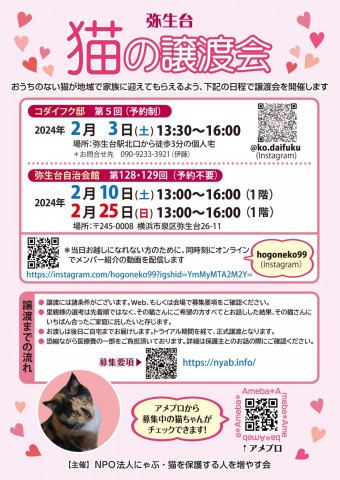 弥生台　猫の譲渡会