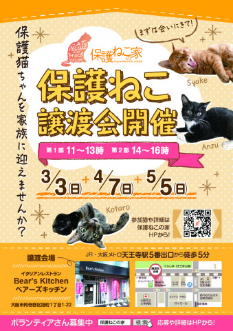 保護ねこの家譲渡会 in 天王寺