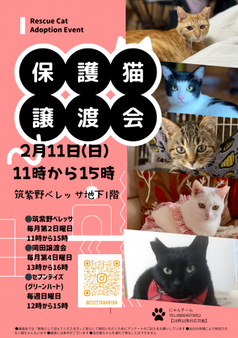 筑紫野ベレッサほご猫譲渡会