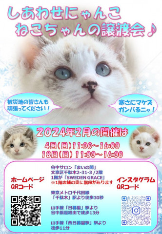 しあわせにゃんこ猫ちゃんの譲渡会ＩＮ谷根千「まいの間」