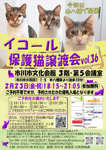 【千葉県市川市】40頭以上参加：イコール保護猫譲渡会vol.36