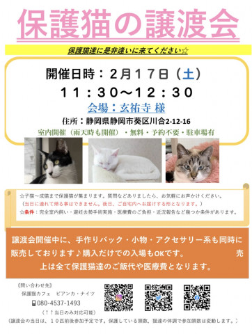 保護猫の譲渡会