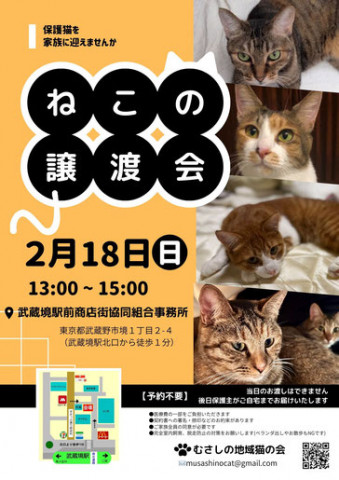 むさしの地域猫の会　譲渡会