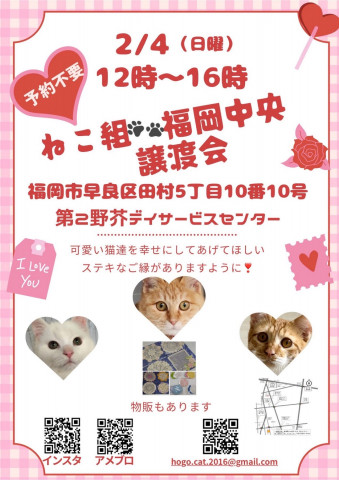 ねこ組🐾福岡中央譲渡会　第2野芥デイサービスセンター