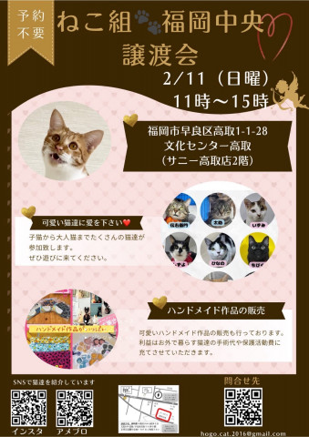 ねこ組🐾福岡中央譲渡会　文化センター高取