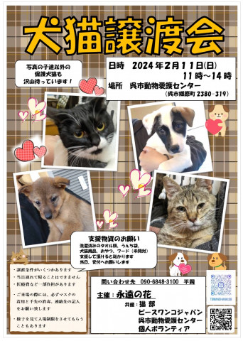 犬猫譲渡会