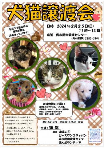 犬猫譲渡会