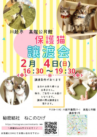 秘密結社ねこのひげ♡保護猫譲渡会