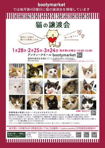 Bootymarket × [sakuraneko] 猫の譲渡会