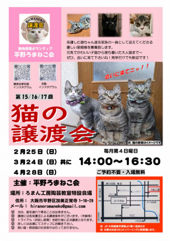 第15回平野ろまねこ譲渡会