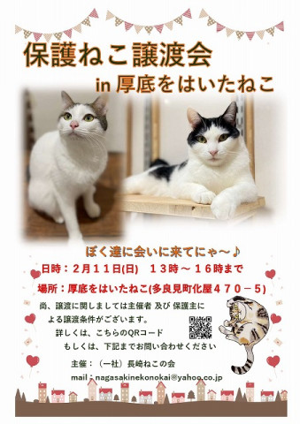 保護ねこ譲渡会 in 厚底をはいたねこ