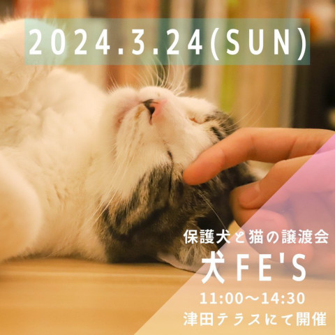 保護犬と猫の譲渡会【犬Ｆés】