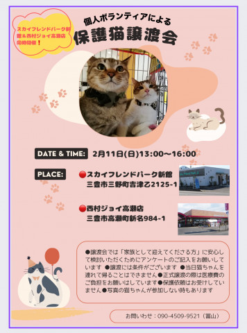 保護猫譲渡会