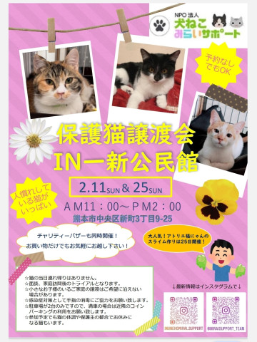 保護猫譲渡会IN一新公民館