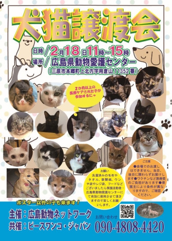 犬猫譲渡会