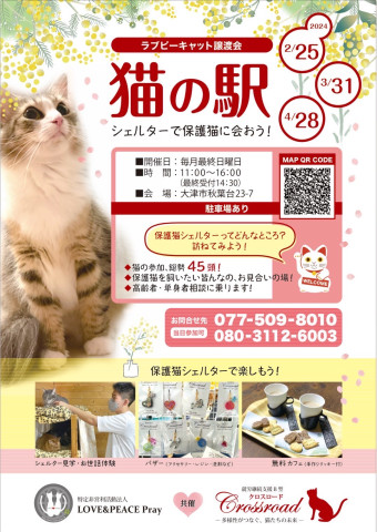 猫の駅～ラブピーキャット譲渡会～