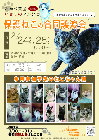 【静岡】保護ねこの合同譲渡会 in 道の駅おかべ茶屋