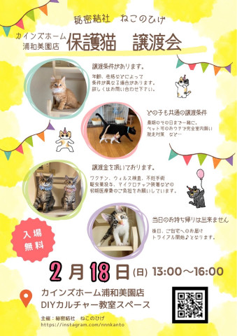 秘密結社ねこのひげ♡保護猫譲渡会