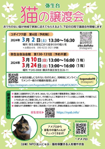 弥生台　猫の譲渡会