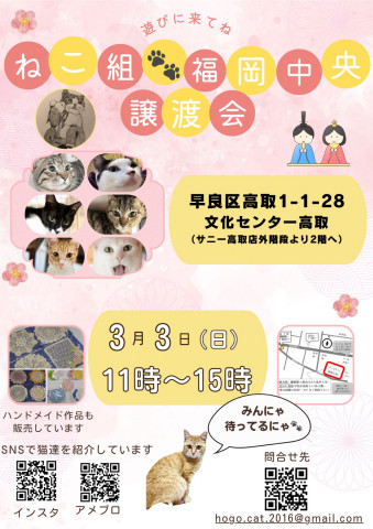 ねこ組🐾福岡中央譲渡会　文化センター高取