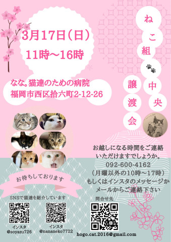 ねこ組🐾福岡中央譲渡会atなな。猫達のための病院