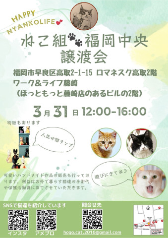 ねこ組🐾福岡中央譲渡会in藤崎