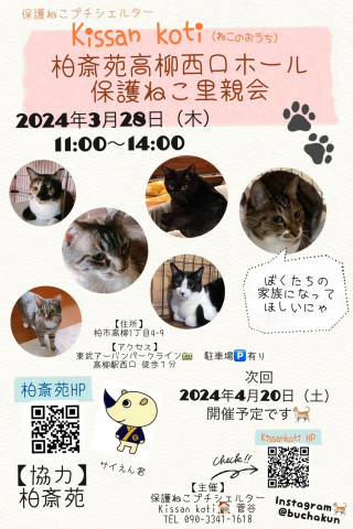 柏斎苑保護ねこ里親会