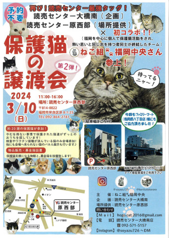 保護猫の譲渡会withねこ組🐾福岡中央譲渡会　読売センター原西部