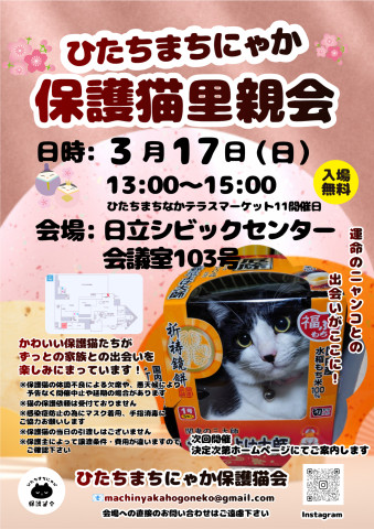 ひたちまちにゃか保護猫里親会