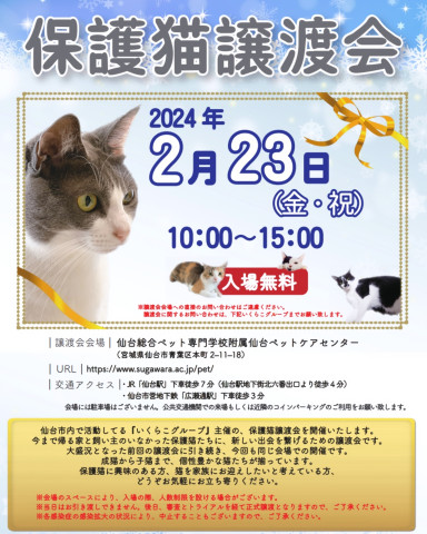 保護猫譲渡会